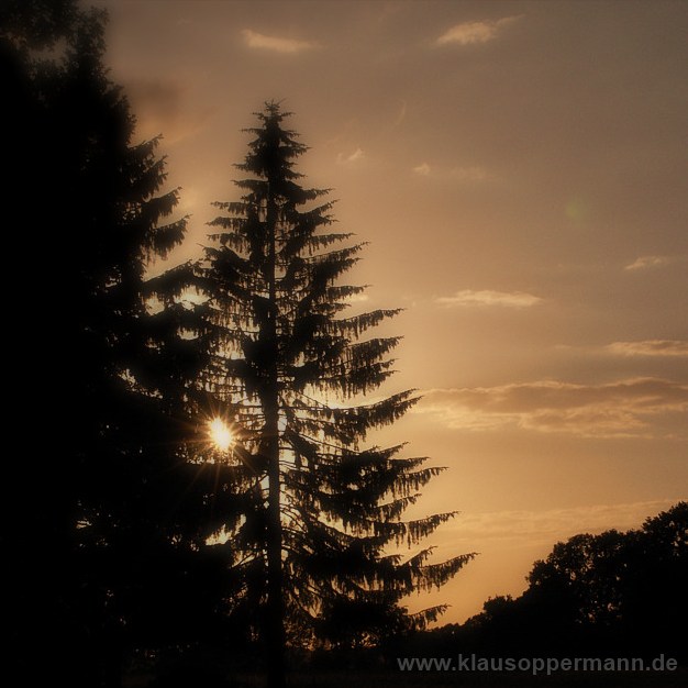 sunset 005