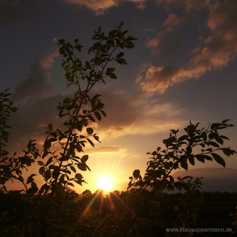 sunset 007