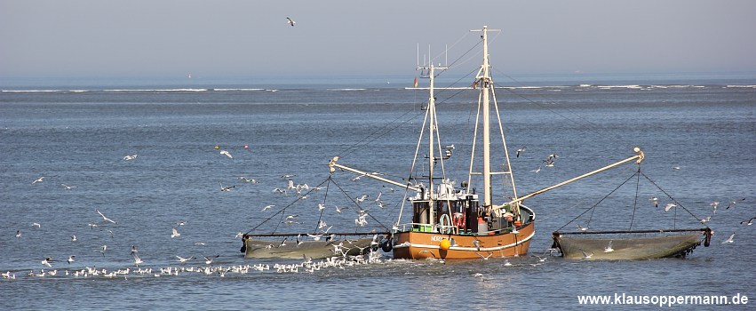 nordsee 003
