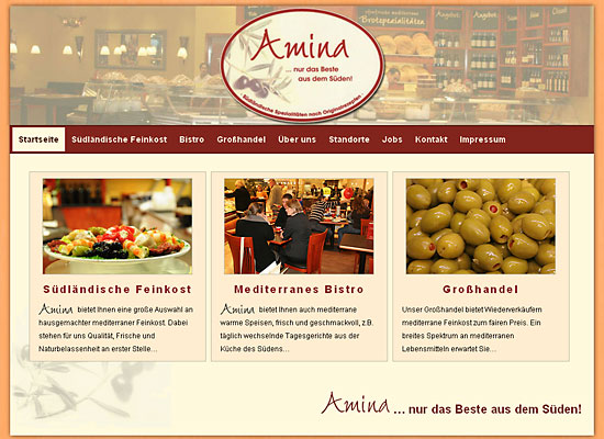 webdesign amina