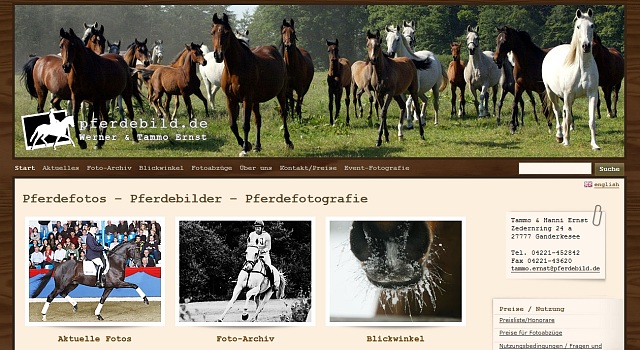 webdesign pferdebild
