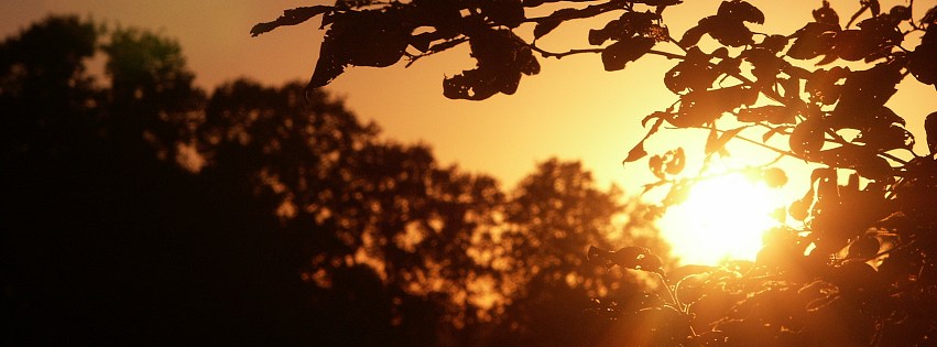 fb natur 002