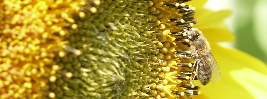 fb natur 009