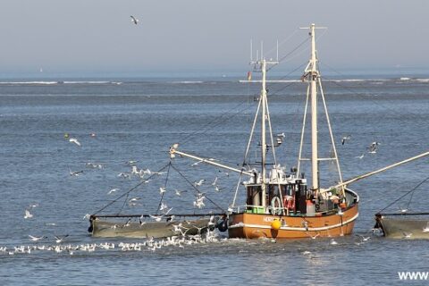 nordsee 003
