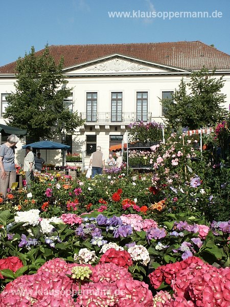 oldenburg 034