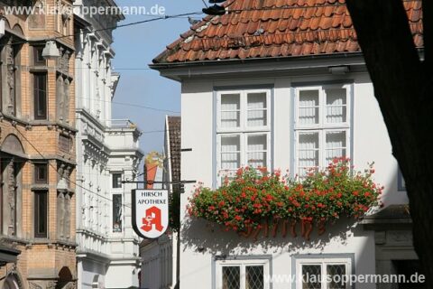 oldenburg 039