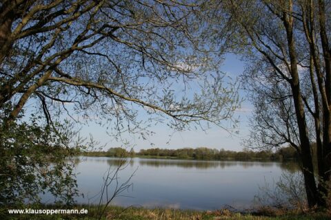 bornhorster see oldenburg 007