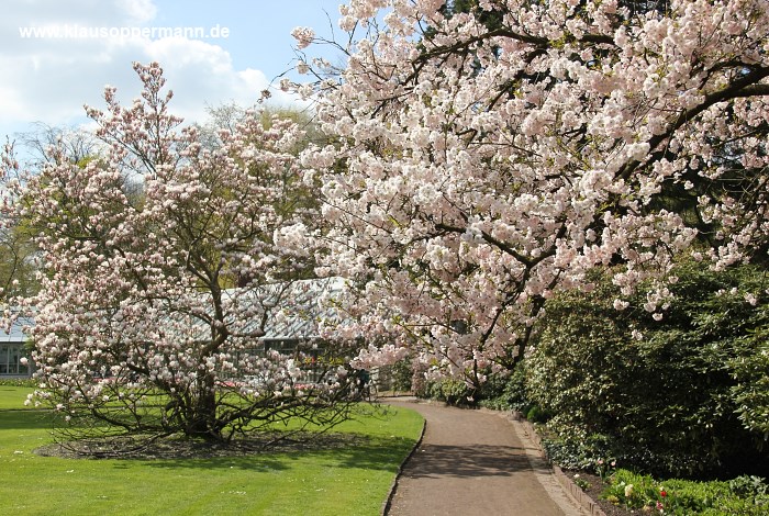 fruehling im schlossgarten oldenburg 005