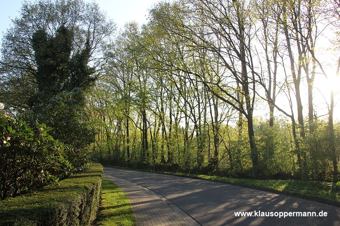 fruehling oldenburg 006