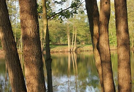 fruehling oldenburg 008