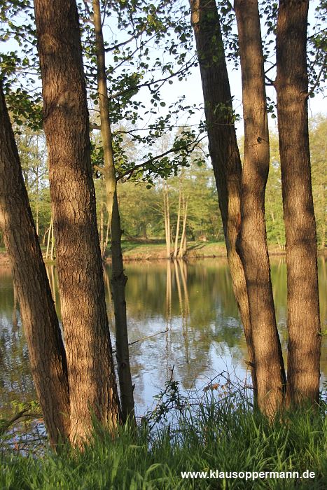fruehling oldenburg 008