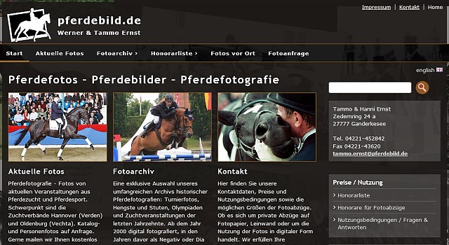 webdesign pferdebild bremen