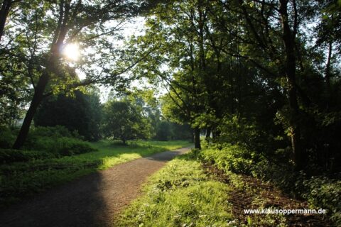 bornhorster see oldenburg 024