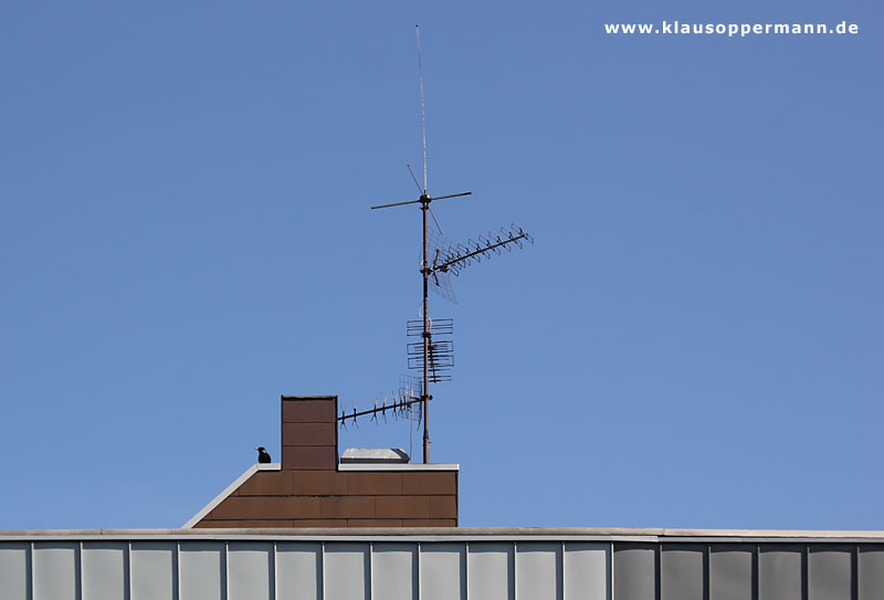 Oldenburg Maerz 015