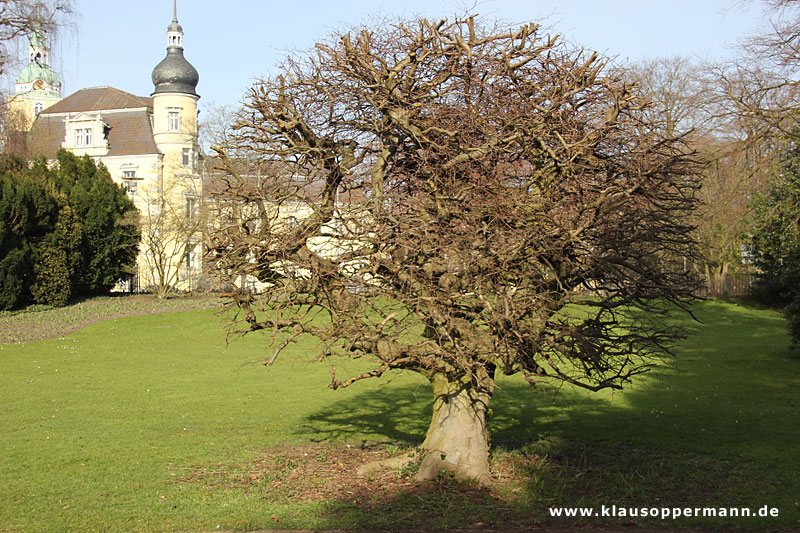 Oldenburg Maerz 017