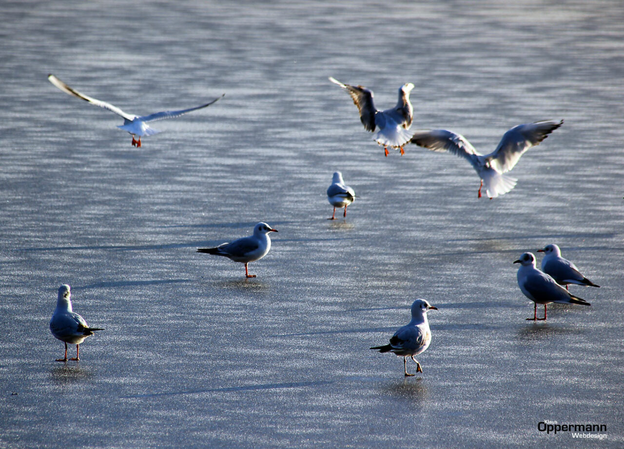 Eiszeit