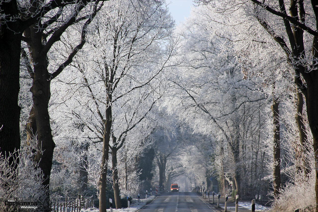 Winter Frost Oldenburg 01