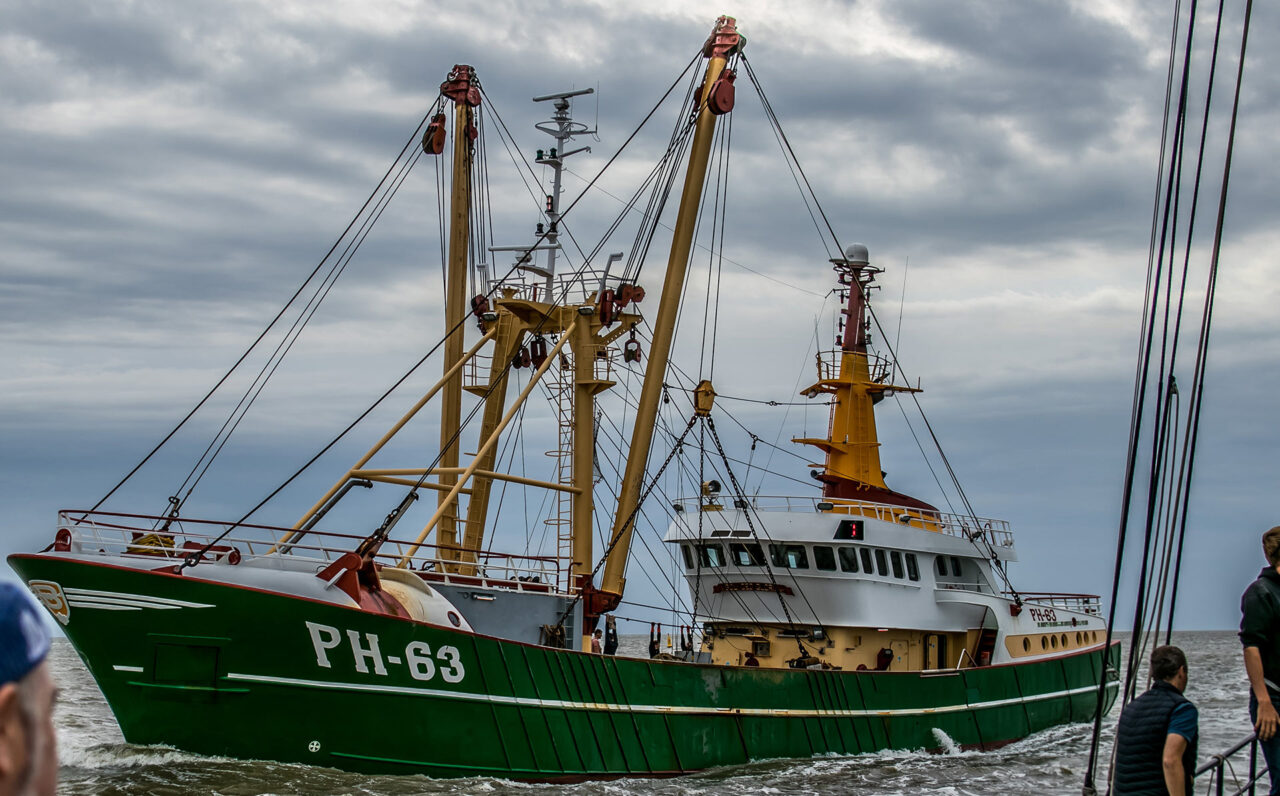 Poseidon 04 Segeln auf dem IJsselmeer