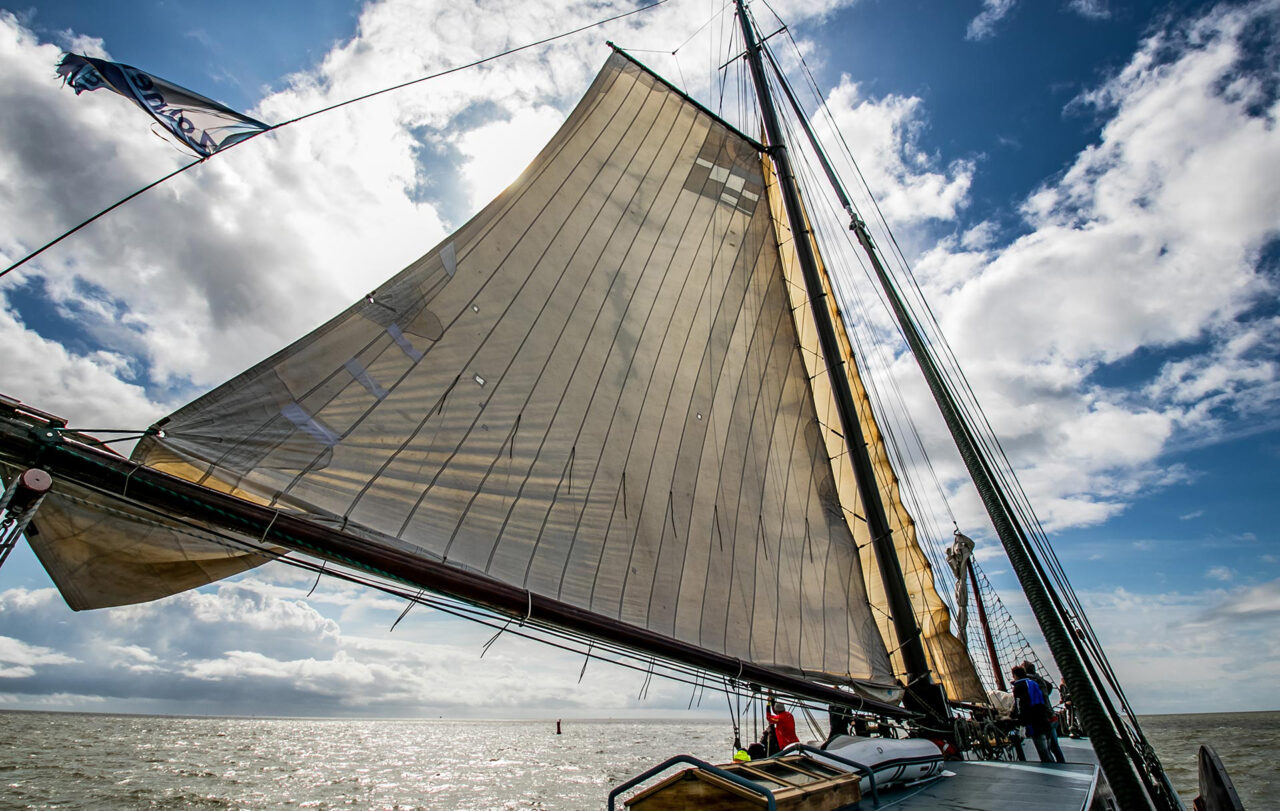 Poseidon 21 Segeln auf dem IJsselmeer