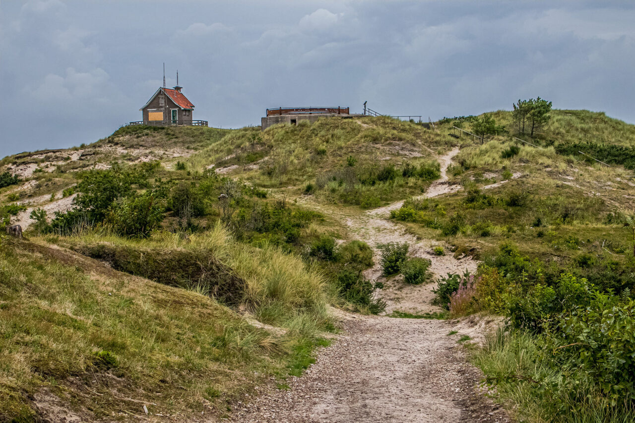 Terschelling 16 Segeln auf dem IJsselmeer
