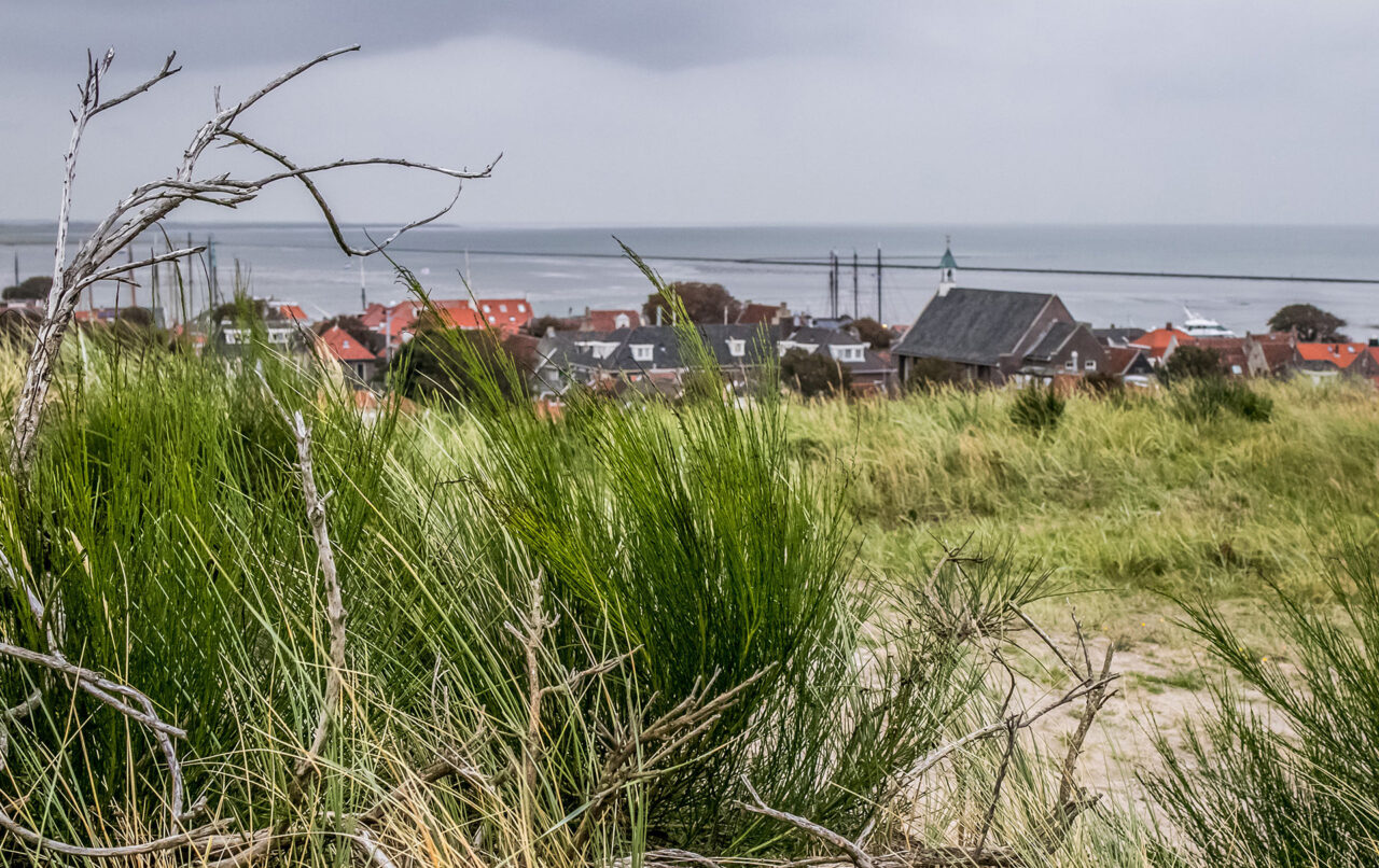 Terschelling 17 Segeln auf dem IJsselmeer