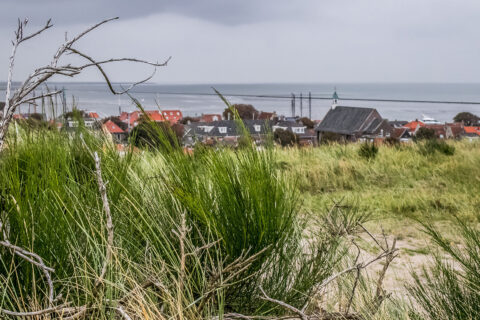 Terschelling 17 Segeln auf dem IJsselmeer
