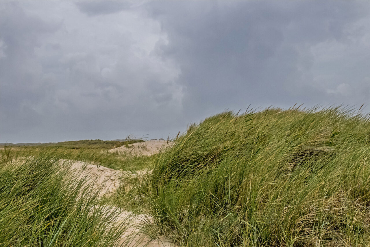 Terschelling 19 Segeln auf dem IJsselmeer