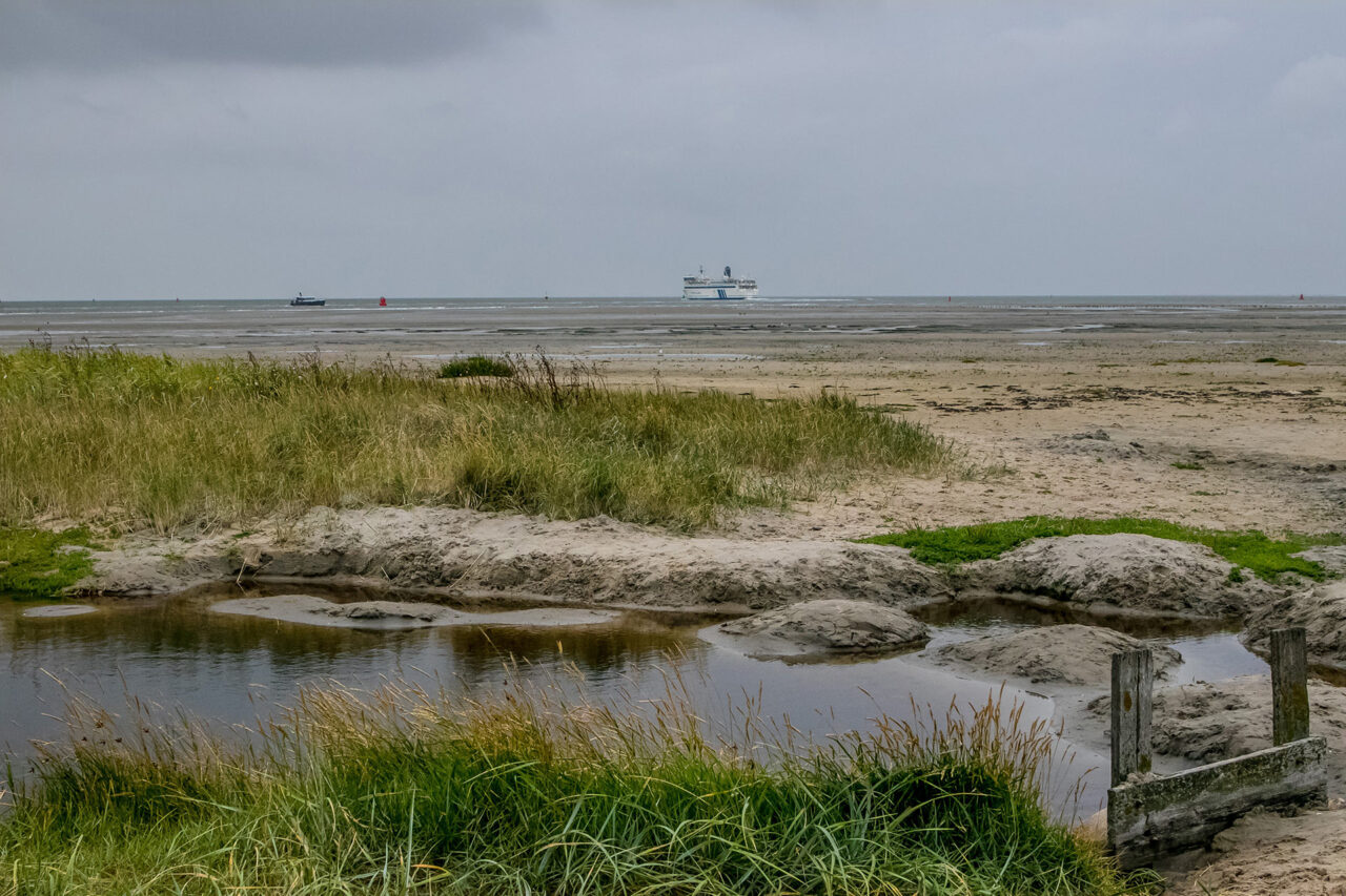 Terschelling 20 Segeln auf dem IJsselmeer