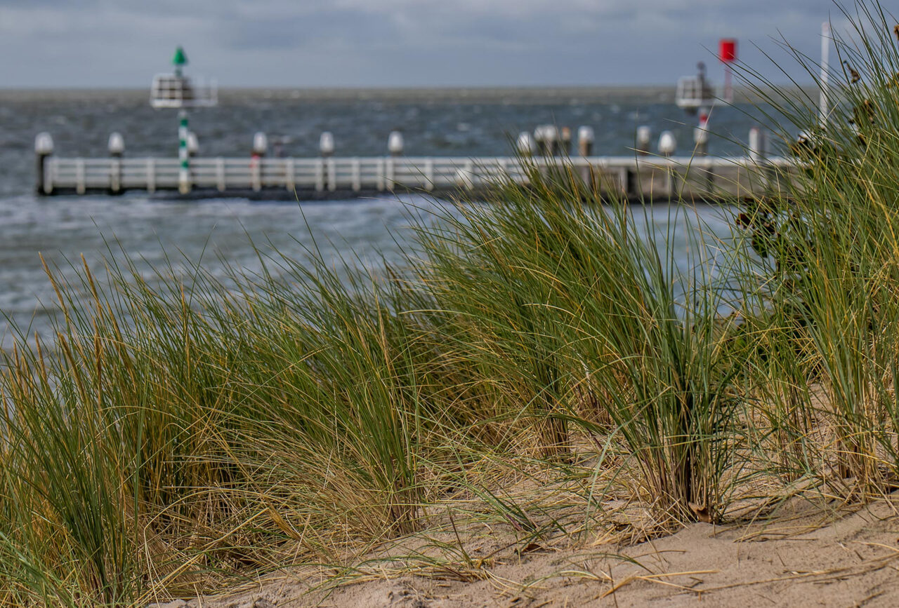 Vlieland 6 Segeln auf dem IJsselmeer