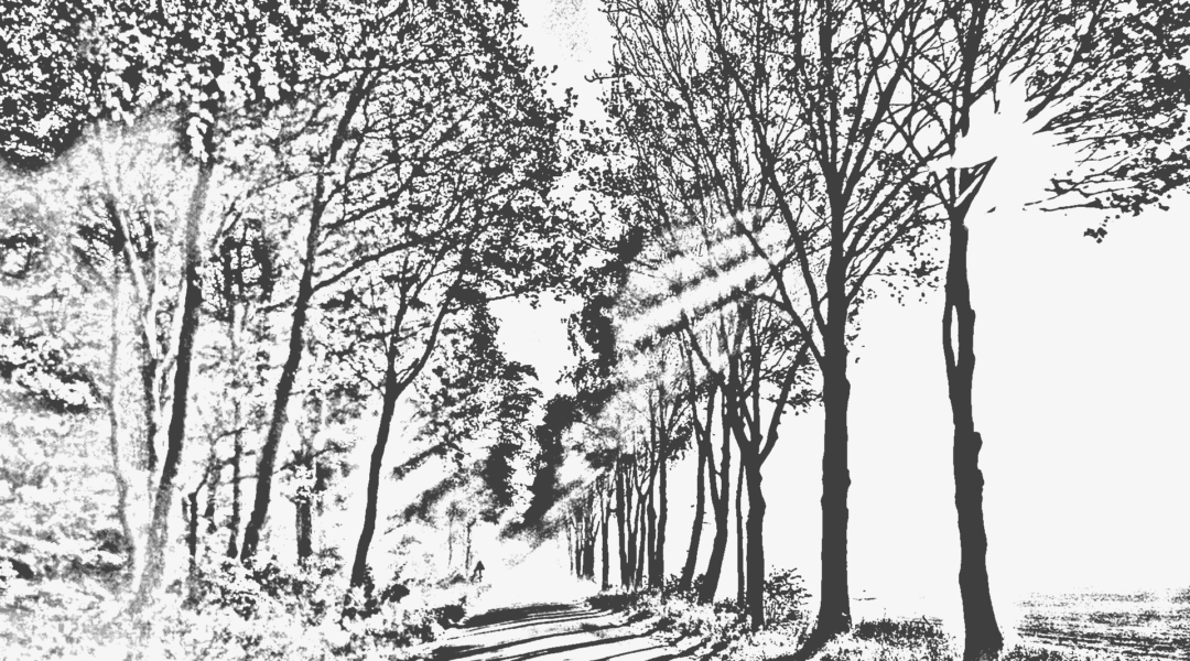 Weg