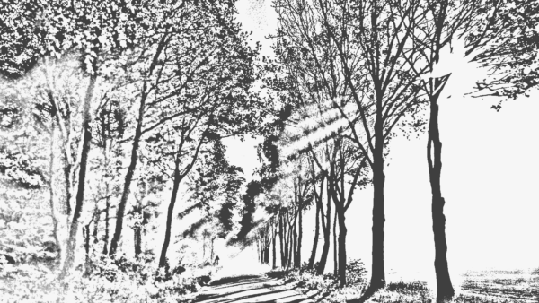 Weg